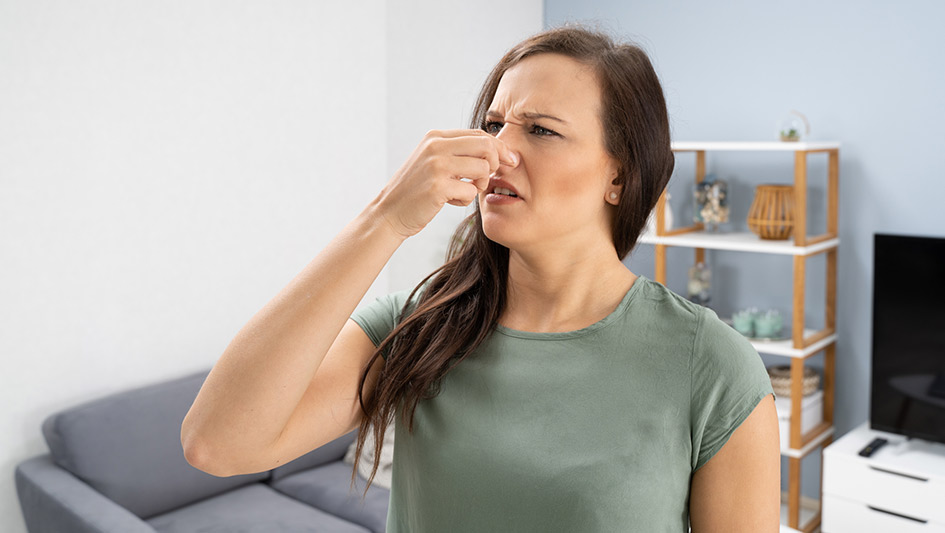 6 Common Air Conditioner Smells Explained and How to Repair the Issue
